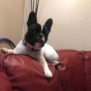 Meet your Posher, Mae